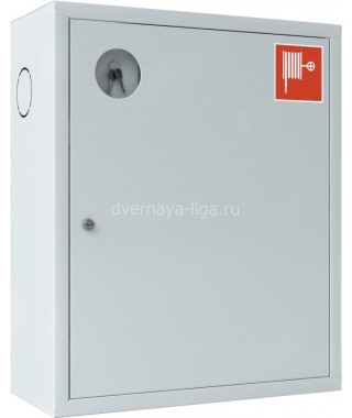 Шкаф пожарный ШПК-310 НЗБ